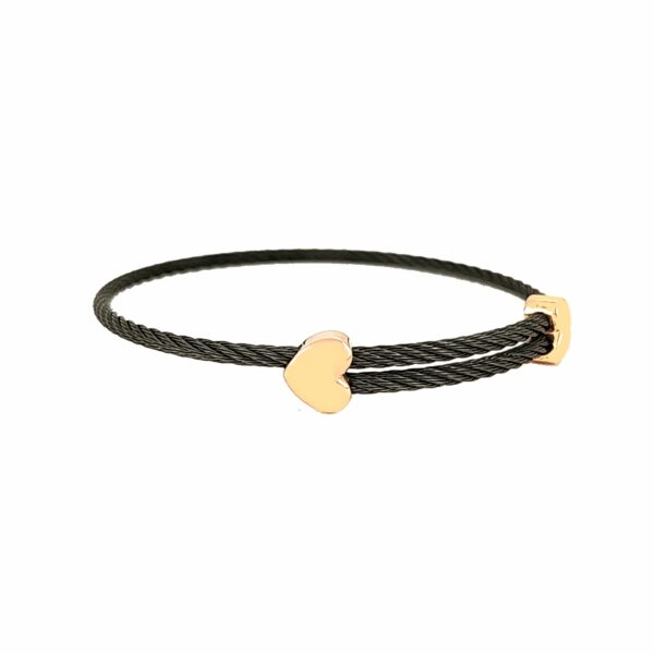Titanium Memory Shape Cable Bracelet with 14kt Gold Accents - Image 17
